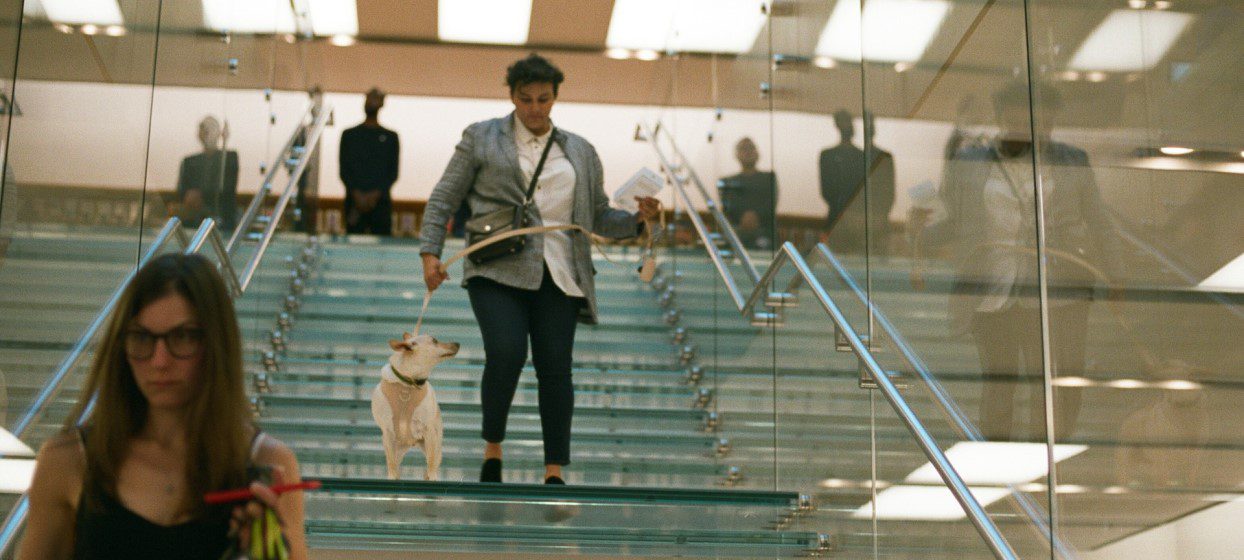 Pet-Friendly Airports